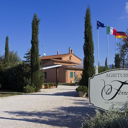 Agriturismo Ferruggini Bolgheri Dış mekan fotoğraf