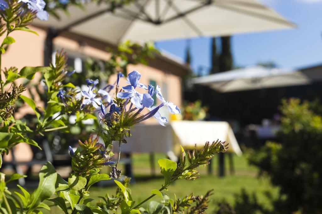 Agriturismo Ferruggini Bolgheri Dış mekan fotoğraf