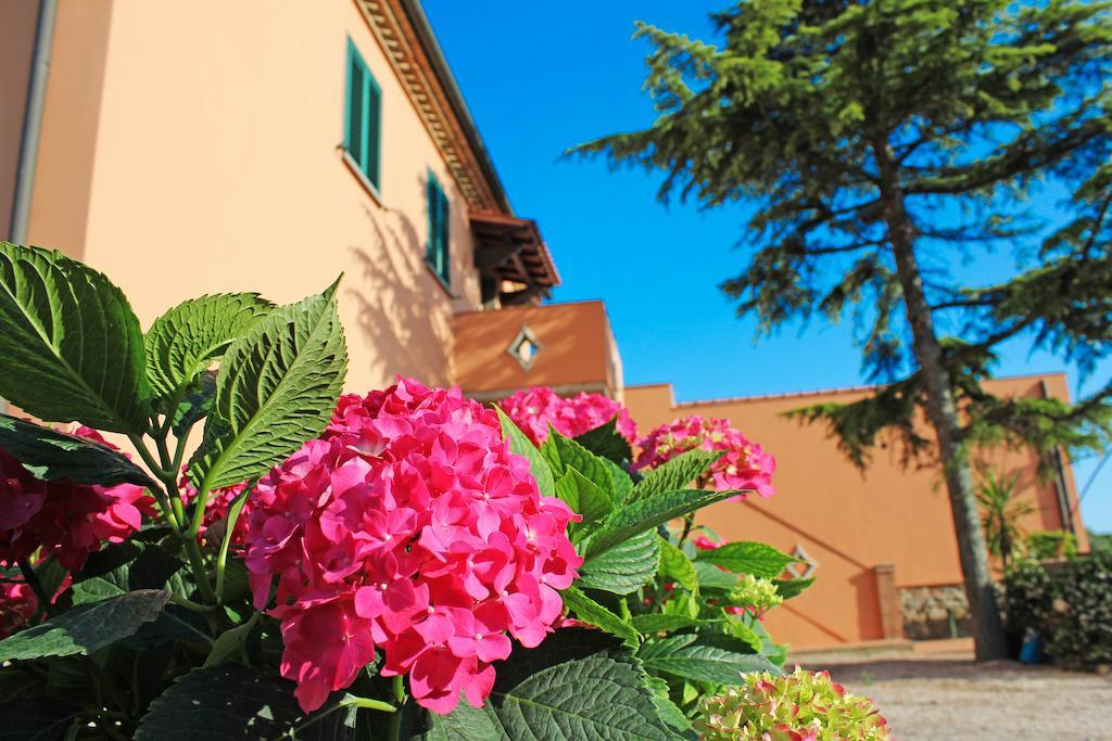 Agriturismo Ferruggini Bolgheri Dış mekan fotoğraf