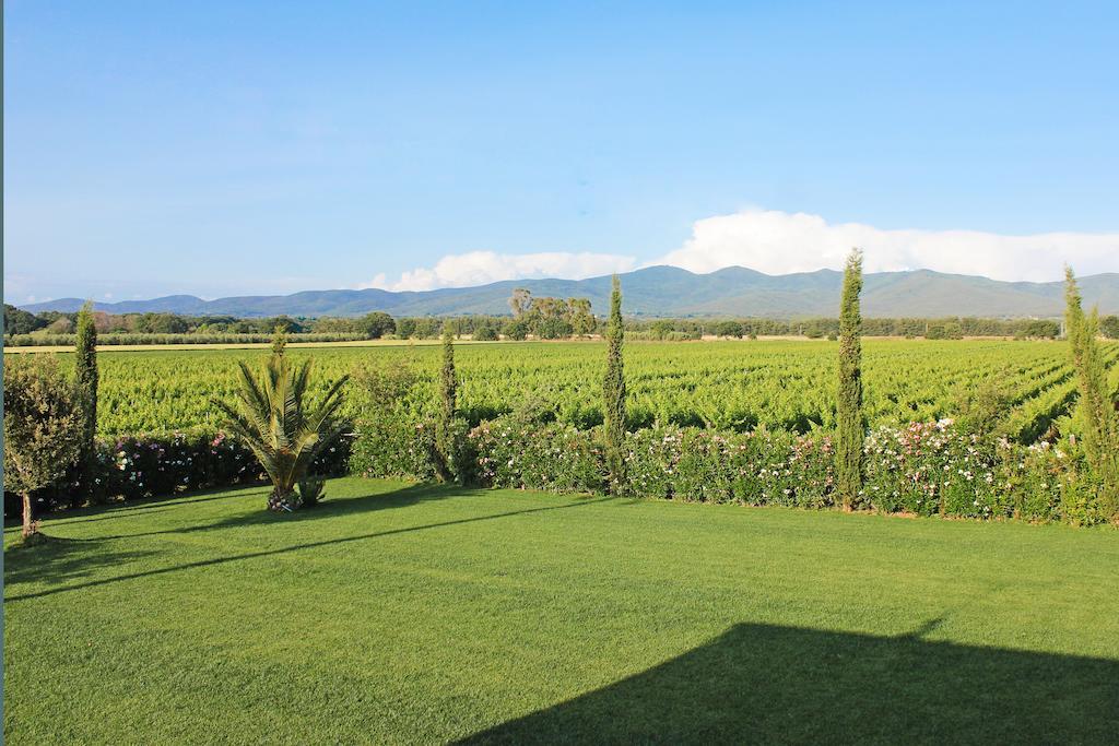 Agriturismo Ferruggini Bolgheri Dış mekan fotoğraf