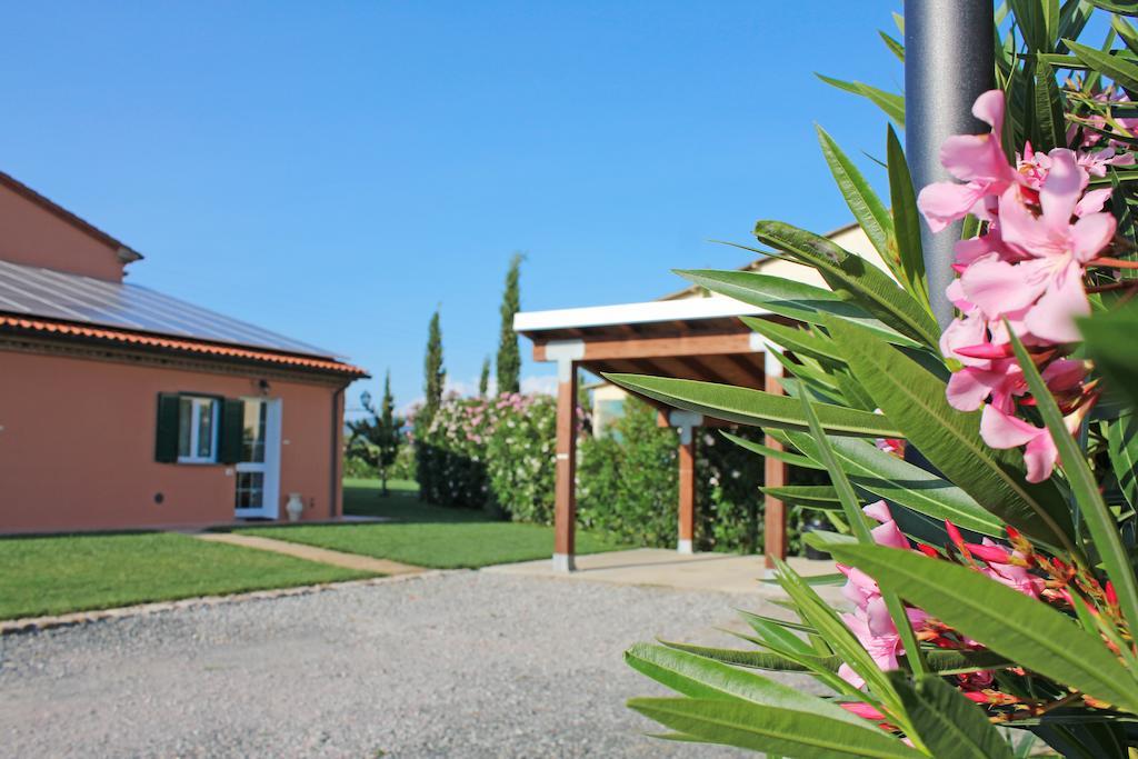 Agriturismo Ferruggini Bolgheri Dış mekan fotoğraf