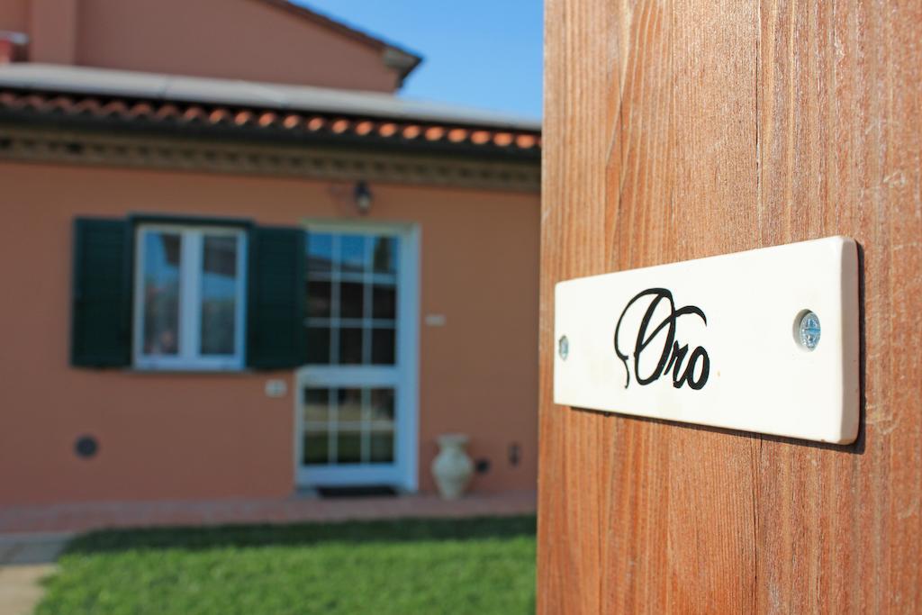 Agriturismo Ferruggini Bolgheri Dış mekan fotoğraf